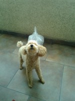 /album/mi-hogar/foto2239-jpg/